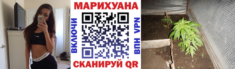 Псилоцибиновые грибы Пушкино