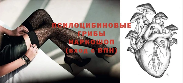 apvp Медвежьегорск