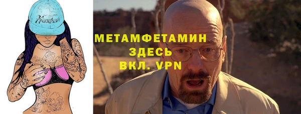 крисы Мегион