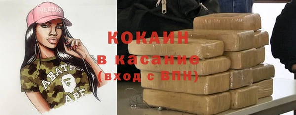 крисы Мегион
