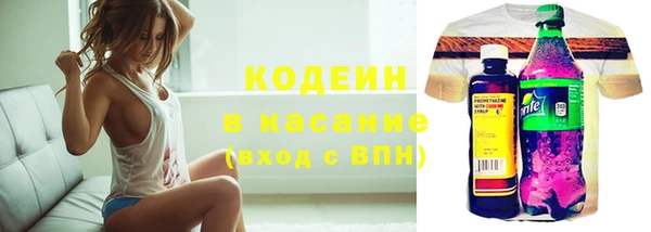 крисы Мегион