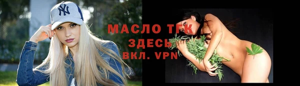 крисы Мегион