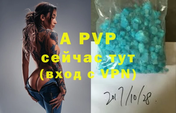 крисы Мегион