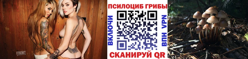 Псилоцибиновые грибы Magic Shrooms  купить  сайты  Пушкино 
