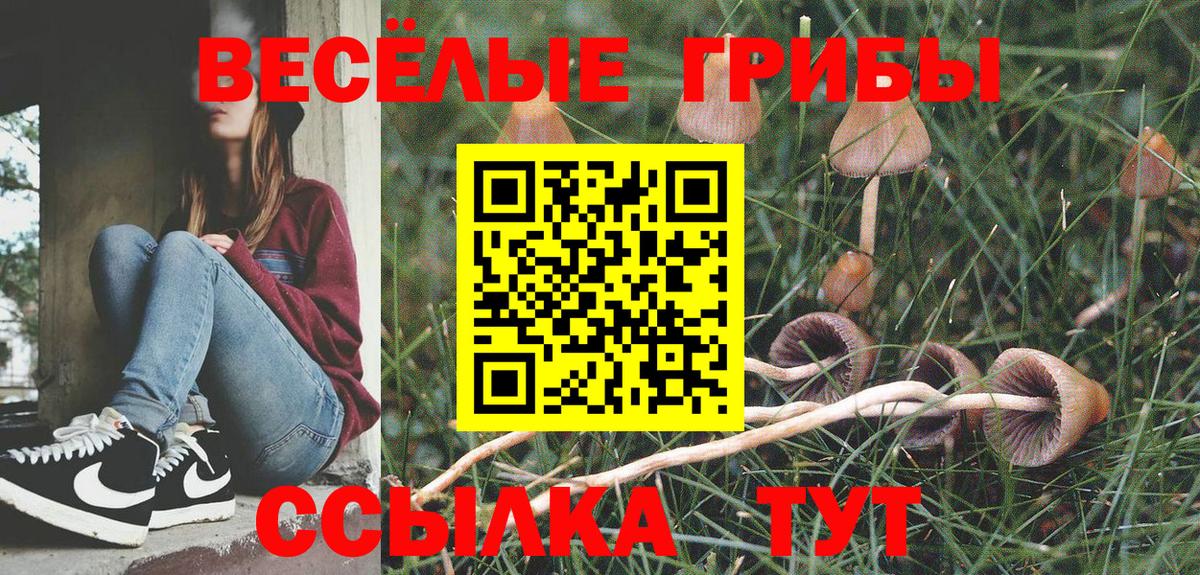 Галлюциногенные грибы мицелий Пушкино