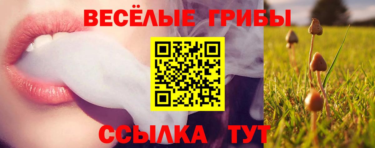 Пушкино  Псилоцибиновые грибы мухоморы  Вход с VPN 