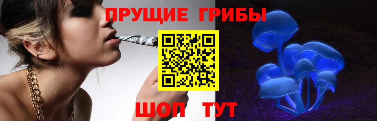 продажа наркотиков  Пушкино  Галлюциногенные грибы прущие грибы  Галлюциногенные грибы Magic Shrooms 